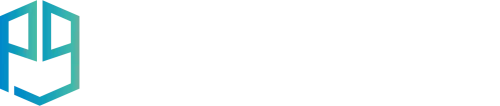 Planet 9 Logo